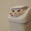 mintymintymint avatar