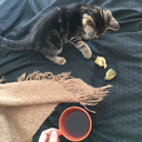 minus-maedchen avatar