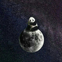 minyonlavinya-blog avatar