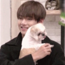 minyoongleschimjoongles avatar