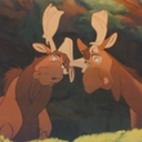 miraculousmoose-blog avatar