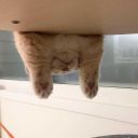 mirando-al-cielo-azul avatar