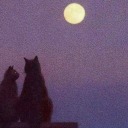 mirelalovesss avatar