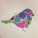 miri-illustration avatar