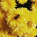 miriammmmmmmb avatar