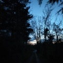 mirkos-dreams avatar