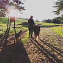 mirorr-of-erised avatar