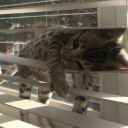 mirror-mirror-on-the--wall avatar