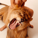 mirrornetwork avatar