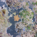 mirrorsandplants avatar