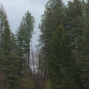 mirthsadismfilth avatar