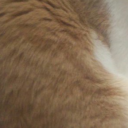 mirudakedake-blog avatar