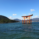 misaki-toyodome avatar