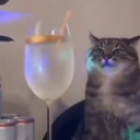 misanthropy-m avatar