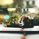 misaq123-blog avatar