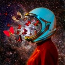 miscelaneosstuff avatar