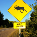 miscellaneous-diversions avatar