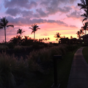 miscellaneous-monster avatar