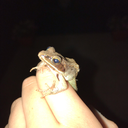 miscellaneous-sanders-sides avatar