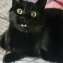 mischiefmanaged687 avatar