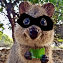 mischievousquokka avatar