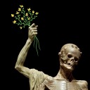 miserablejester avatar