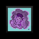 misfitsfanclub avatar