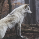 misfitunknown21 avatar