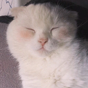 mish-ellaneous avatar