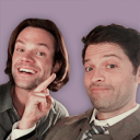 misha-trollins avatar