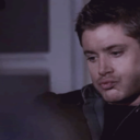 mishajensenjaredfans avatar