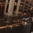 mishamichelle avatar