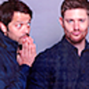 mishasscollins avatar