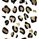 mishkamishkak avatar