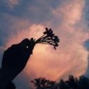 misralardaki1erhuzun avatar