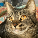 miss--serotonin avatar