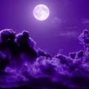 miss-andromeda avatar