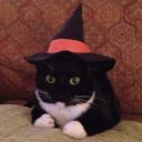 miss-angel-girl avatar