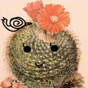 miss-cactus avatar