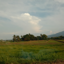 miss-cheesecake avatar