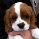 miss-fitrightin avatar