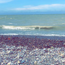 miss-giggles22 avatar