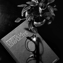 miss-lols-blog avatar