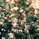 miss-me-with-the-bullshit avatar