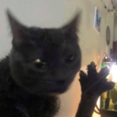 miss-nobody97 avatar