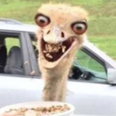 miss-ps-home-4-peculiar-thots avatar