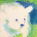 misscellophane avatar