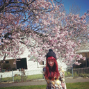 misschloegrace avatar