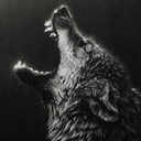 missdarkness2004 avatar