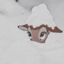 missdaytona444 avatar